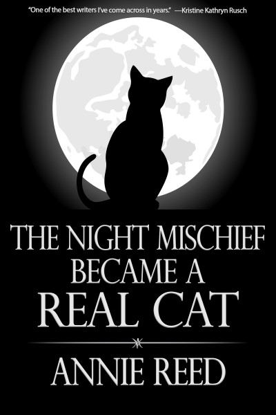 The Night Mischief Became a Real Cat