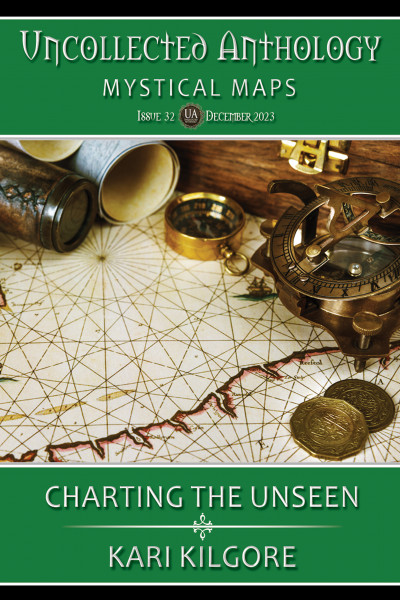 Cover of  Charting the Unseen