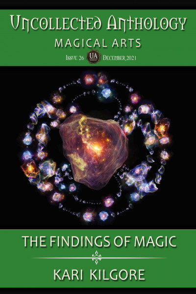 Cover of  The Findings of Magic