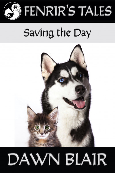 Saving the Day cover