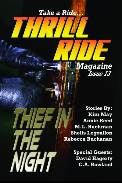 Thief In The Night cover
