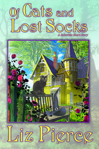 Of Cats and Lost Socks